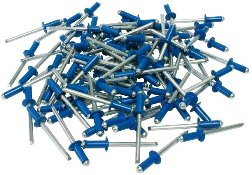 Cora Kit 100 remaches azules para fijación de matrícula