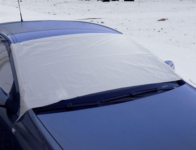 Cubierta protectora contra el hielo para parabrisas Cora 250x100 cm