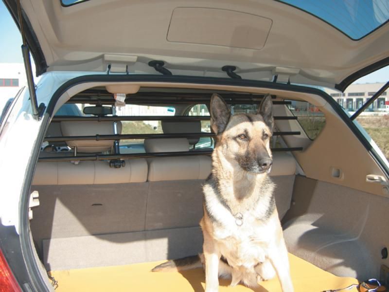 Cora Walky Barrier Hundetrenner