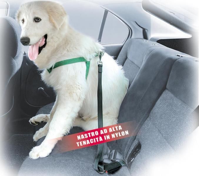 Correa de seguridad para perros Cora Stopdog Maxi