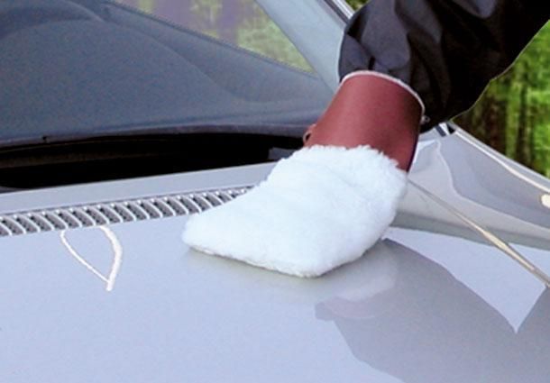 Cora Car Wash Glove