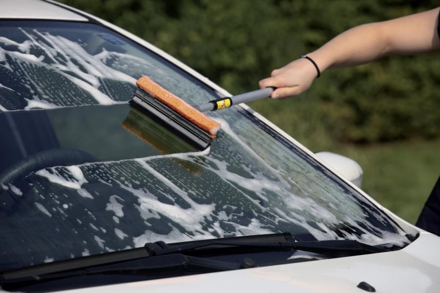 Cora Glasreiniger mit teleskopierbarem Aluminiumgriff