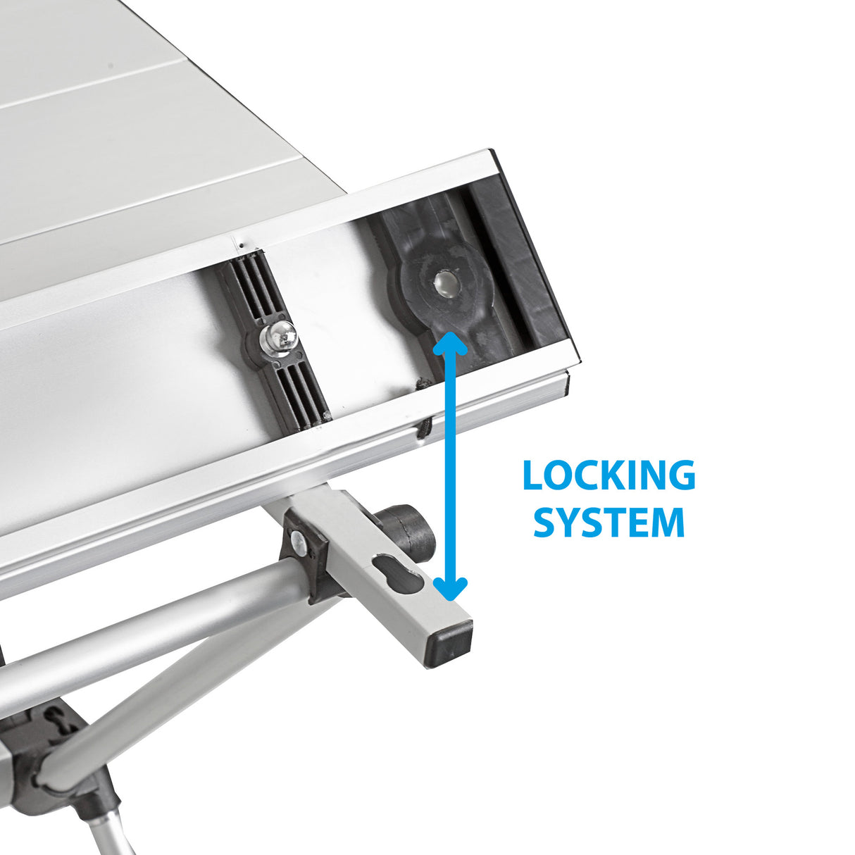 Mesa Brunner Levin 2