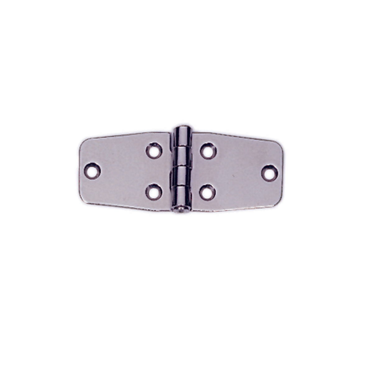 Trem Stainless Steel Hinge