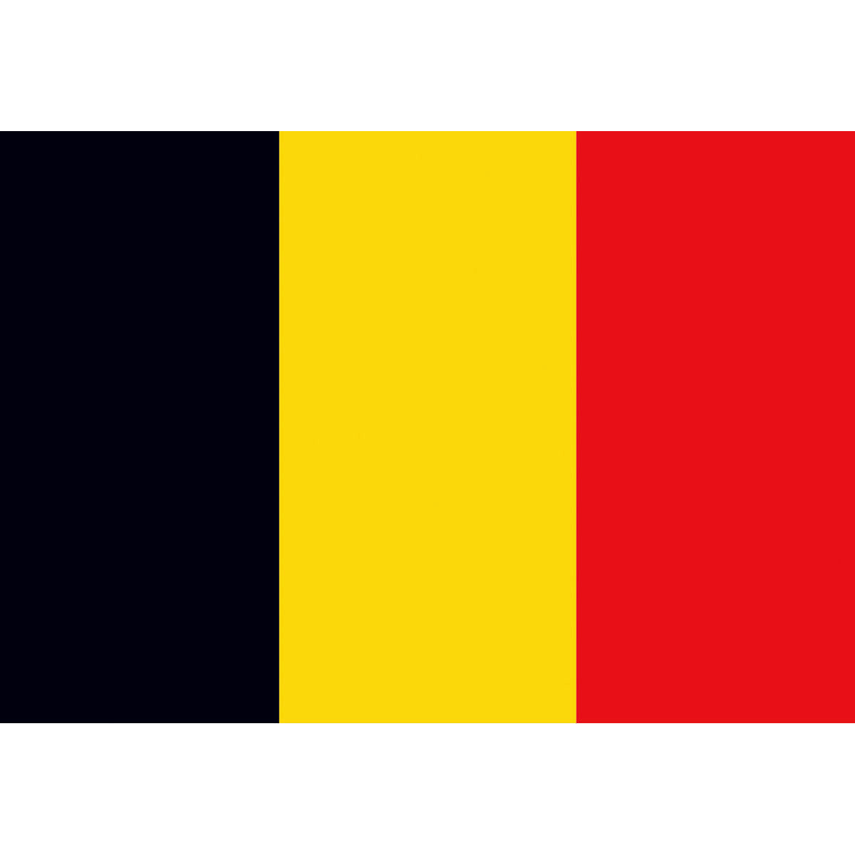 Trem Belgium Polyester Flag