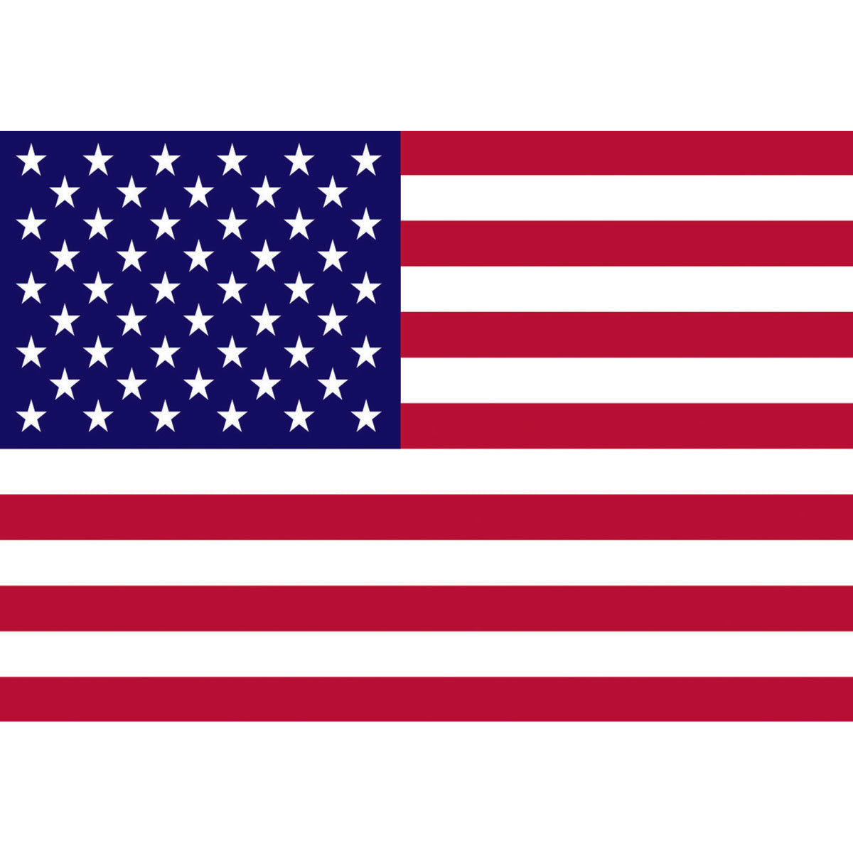 Trem Polyester Flag United States