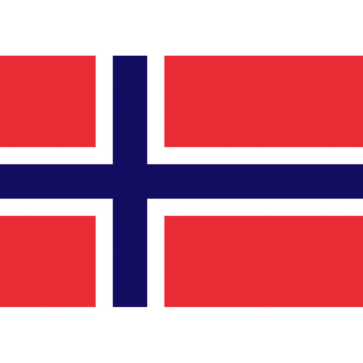 Trem Polyester Flag Norway