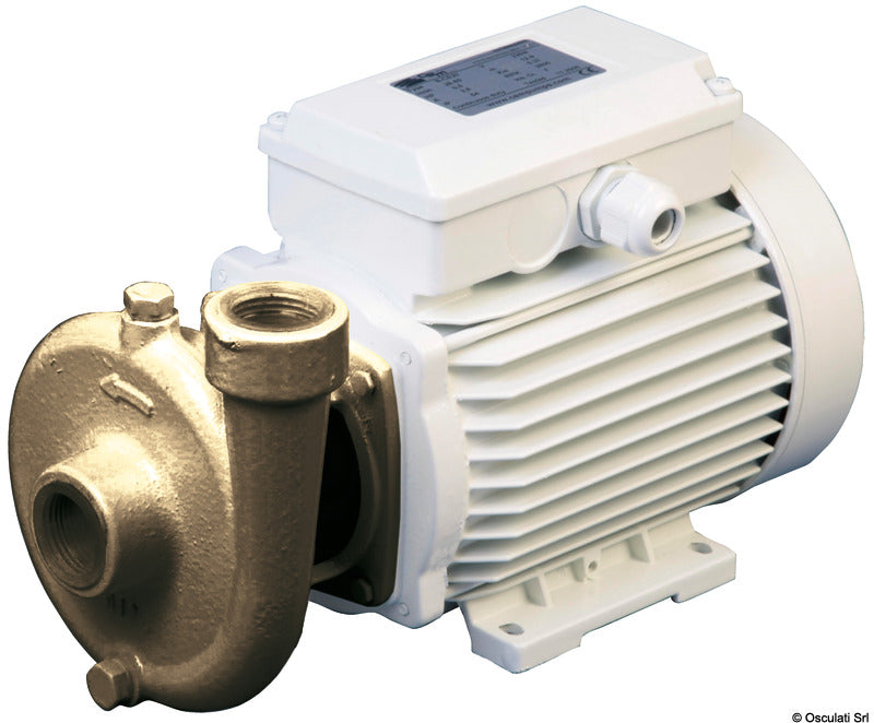 CEM Elettropompa Centrifuga Bronzo 80 lt/min 230V - B-CE 20-230M