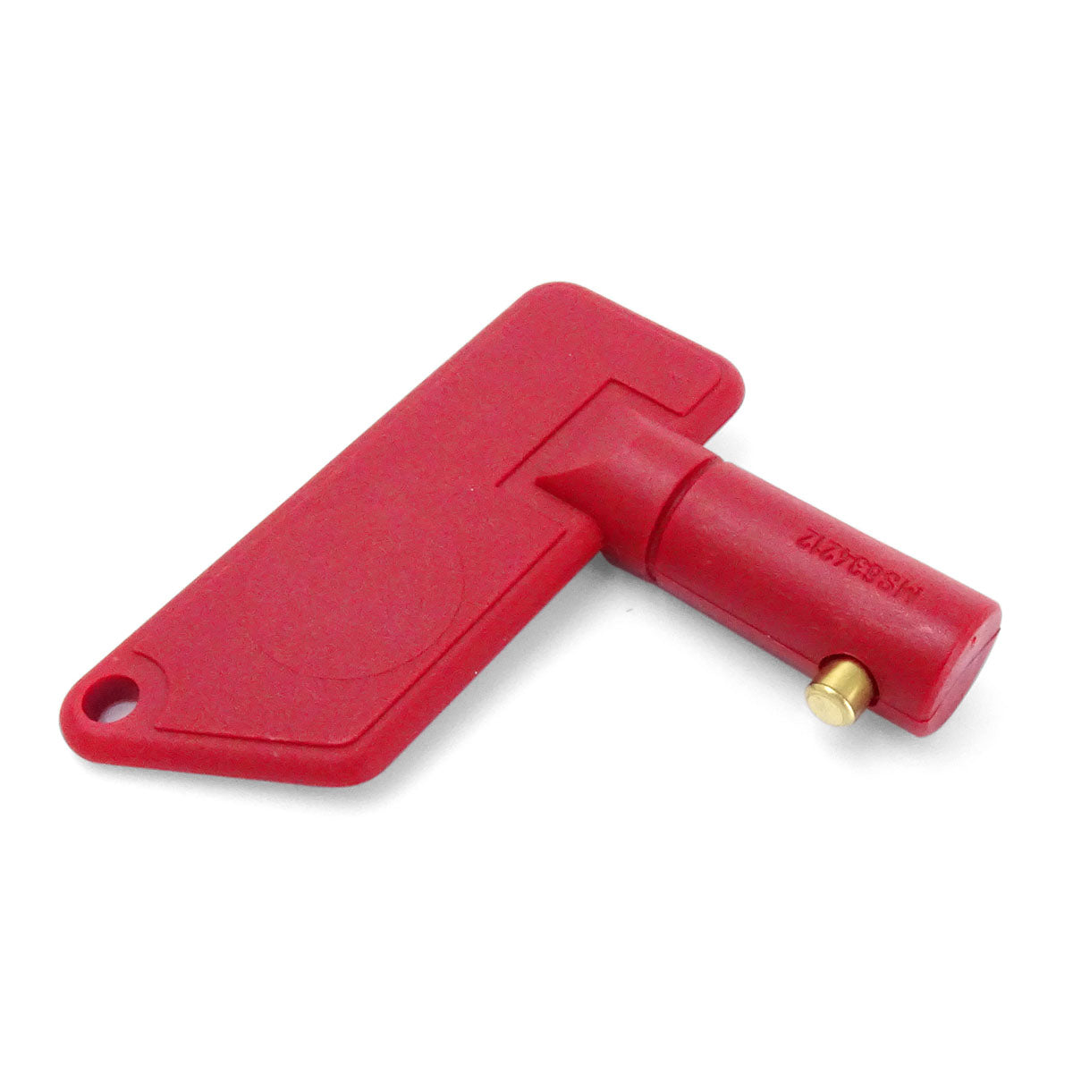 Trem Replacement Key