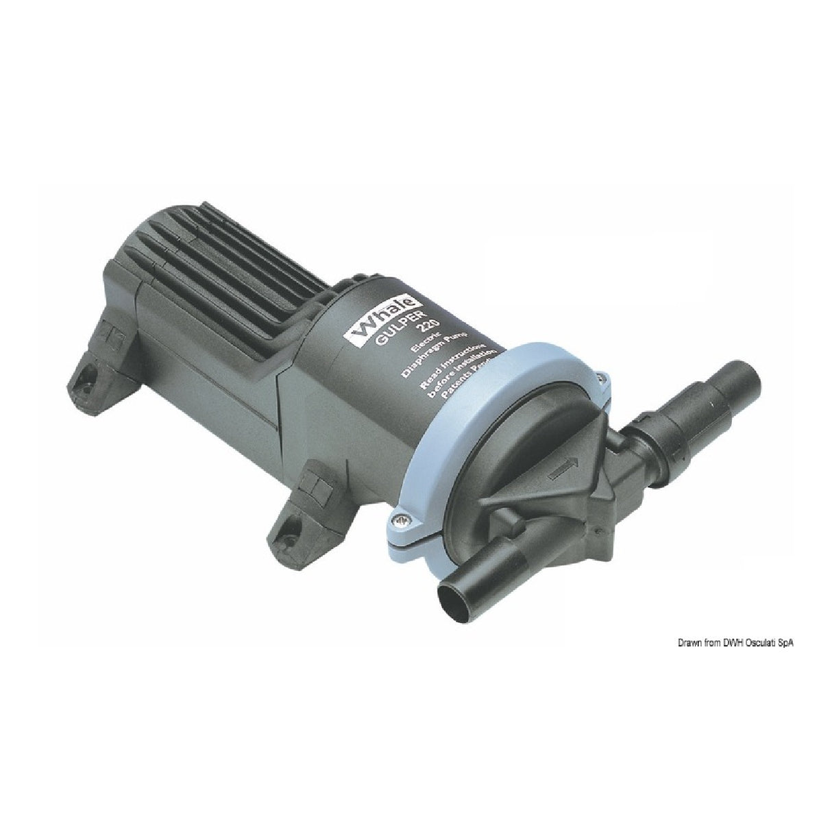 Whale Gulper 220 Dusch- und Abwasserpumpe