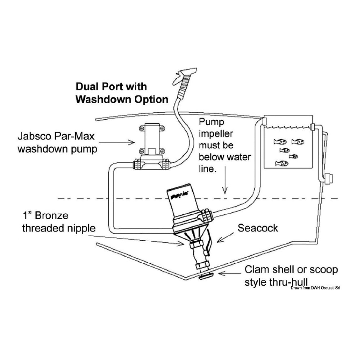 Rule Pompa centrifuga Dual Port