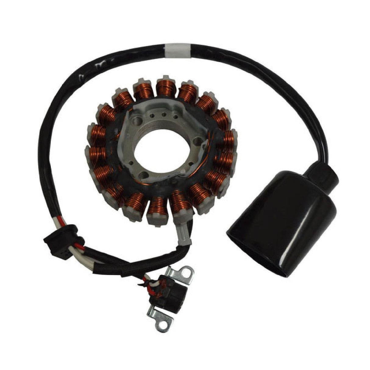 Stator MALAGUTI Passwort / Passwort E3 250 CC 07/09