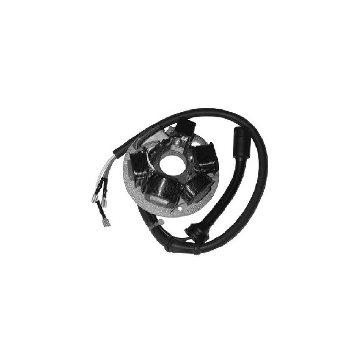 Kompletter Stator für PIAGGIO Vespa FL (V5N1) 50 cm³ 90