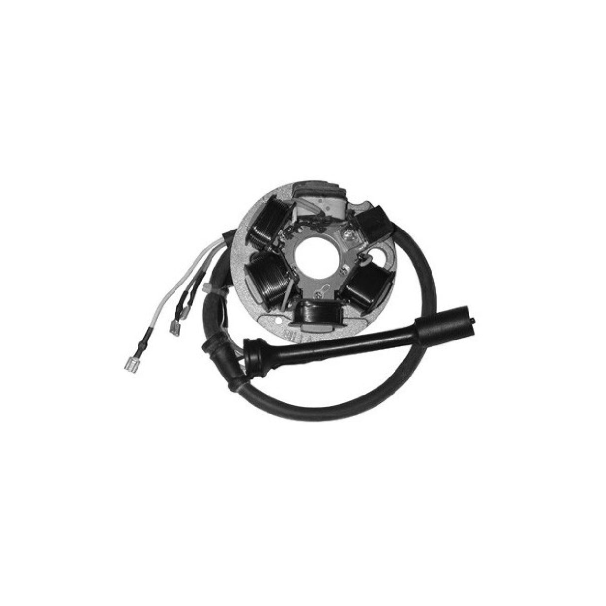 Kompletter Stator PIAGGIO Ape FL (TL6T) 50 cm³ 89/93