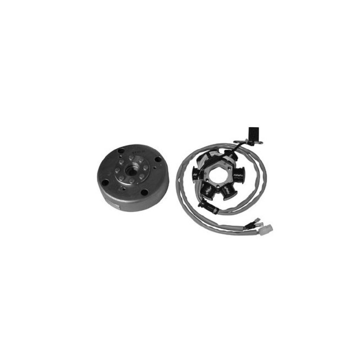 6-Pin-Schwungrad GILERA Easy Moving 50 CC 95/96