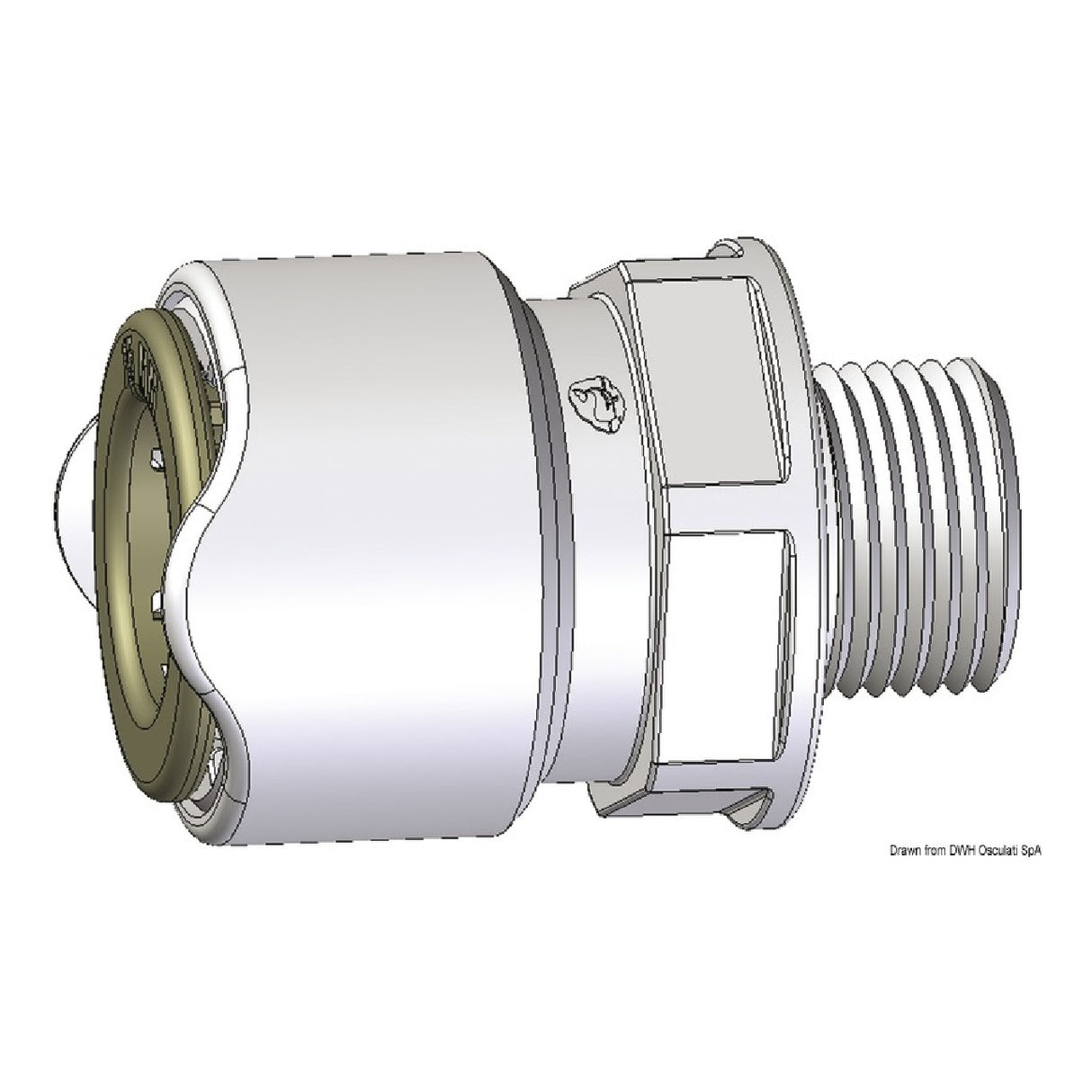 Adaptador macho BSP de 3/8 de pulgada de ballena