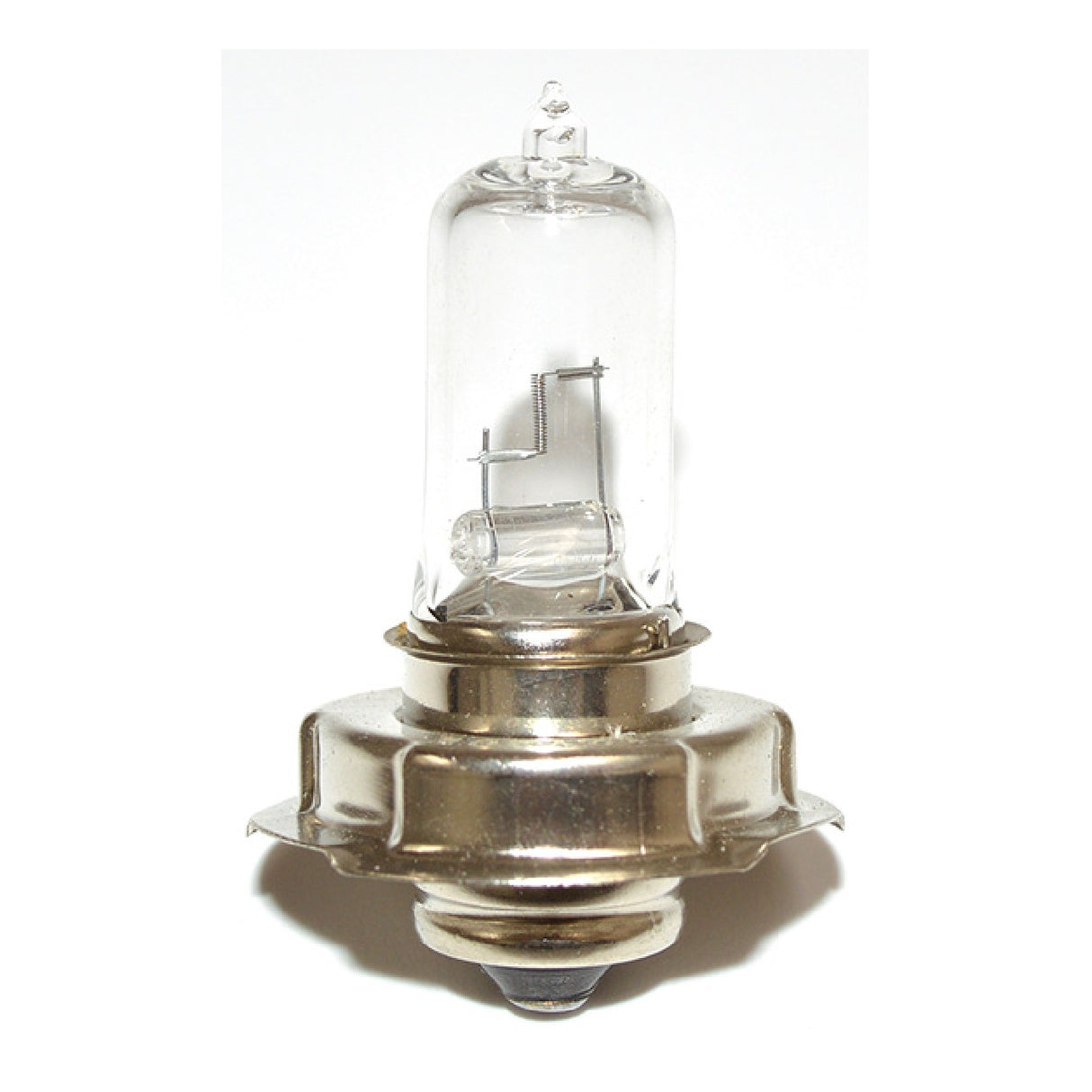 12 Volt 20 Watt P26S Halogenlampe