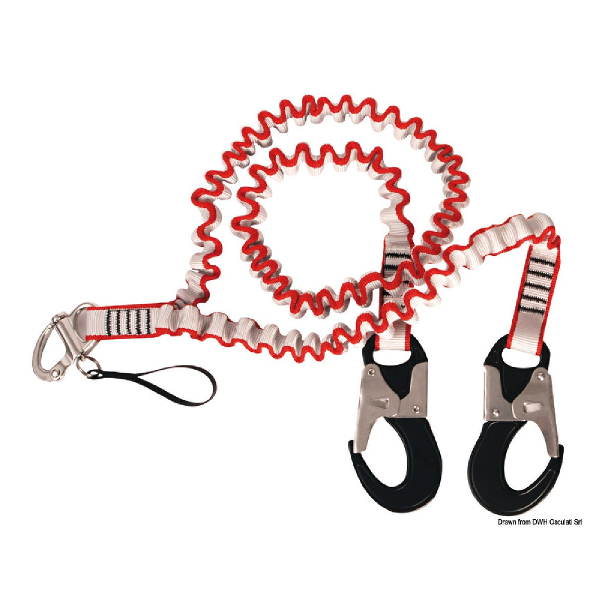 Osculati Cordone ombelicale a Y 23.154.09