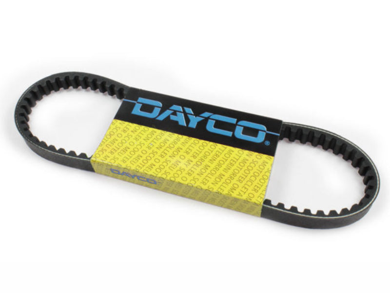 Correa de distribución Dayco para Ducati Monster 620/695/800