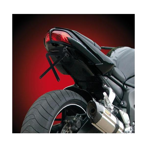 X-Plate lamp, license plate holder