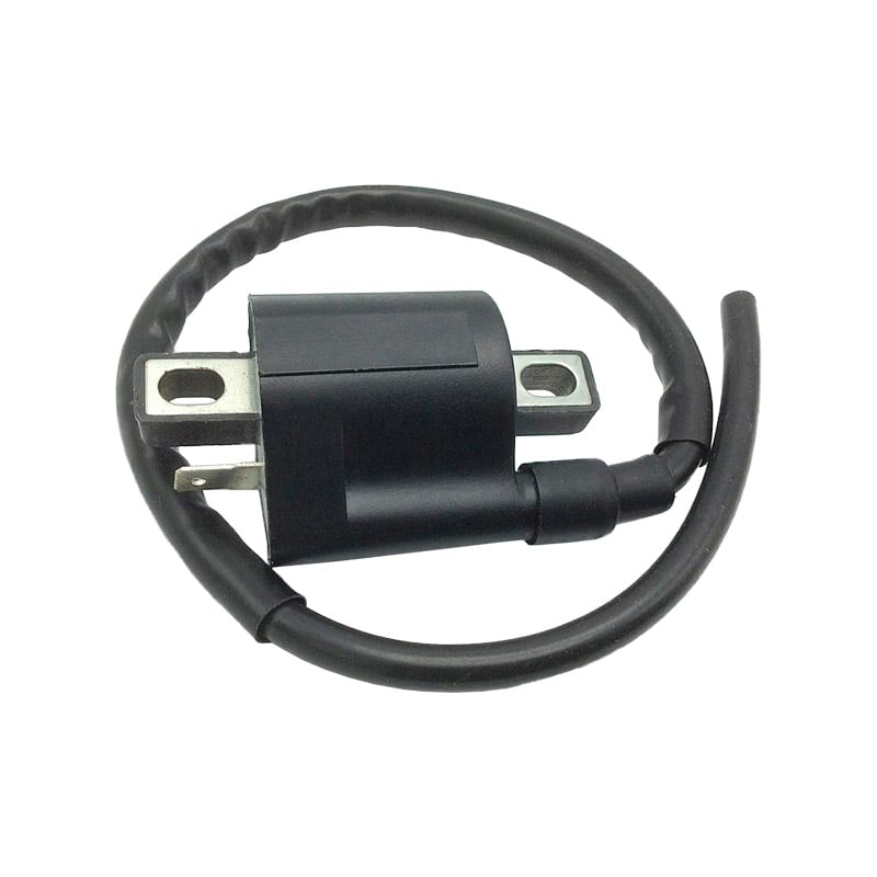 BCR Bobina accensione Aprilia Amico 50 1994-1998