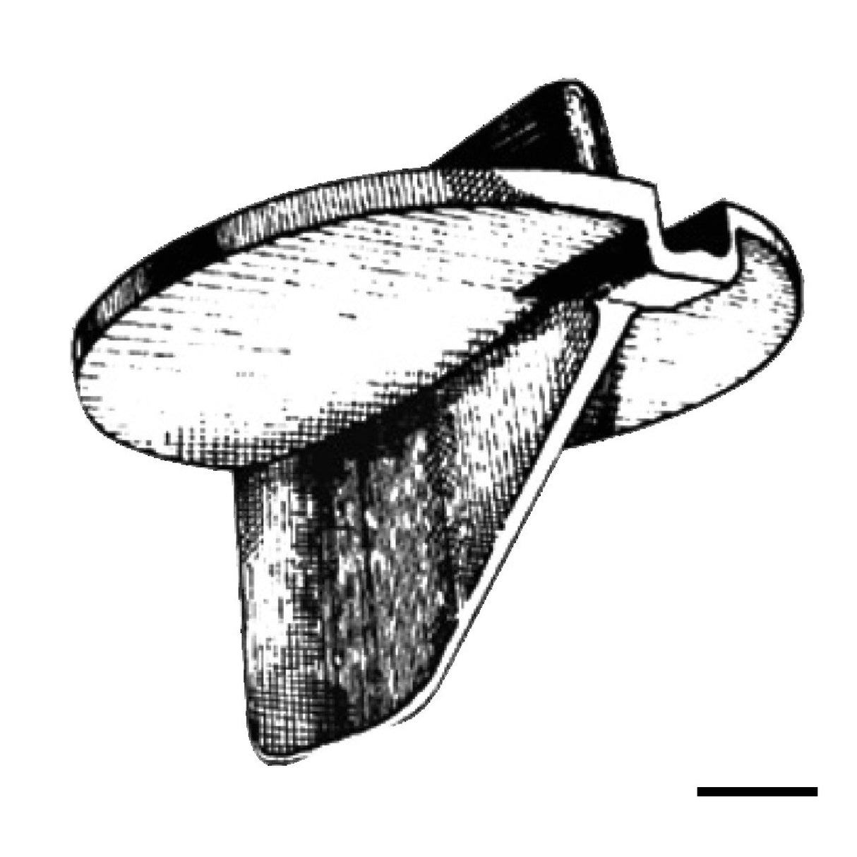 Osculati Pinna 115 PS 4-Takt 43.253.00