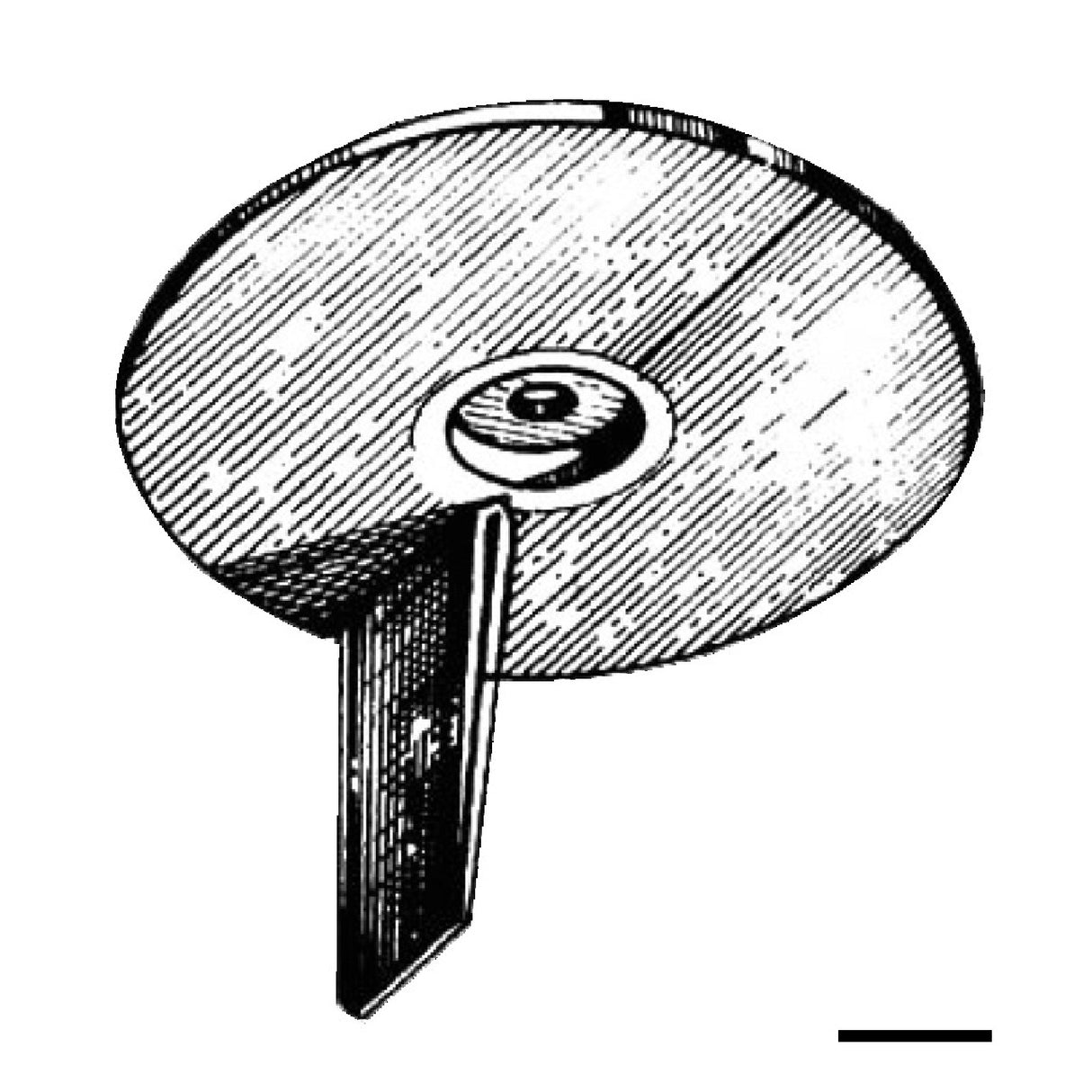 Osculati Ánodo de aleta para Mariner/Yamaha 20/50 HP 43.256.00