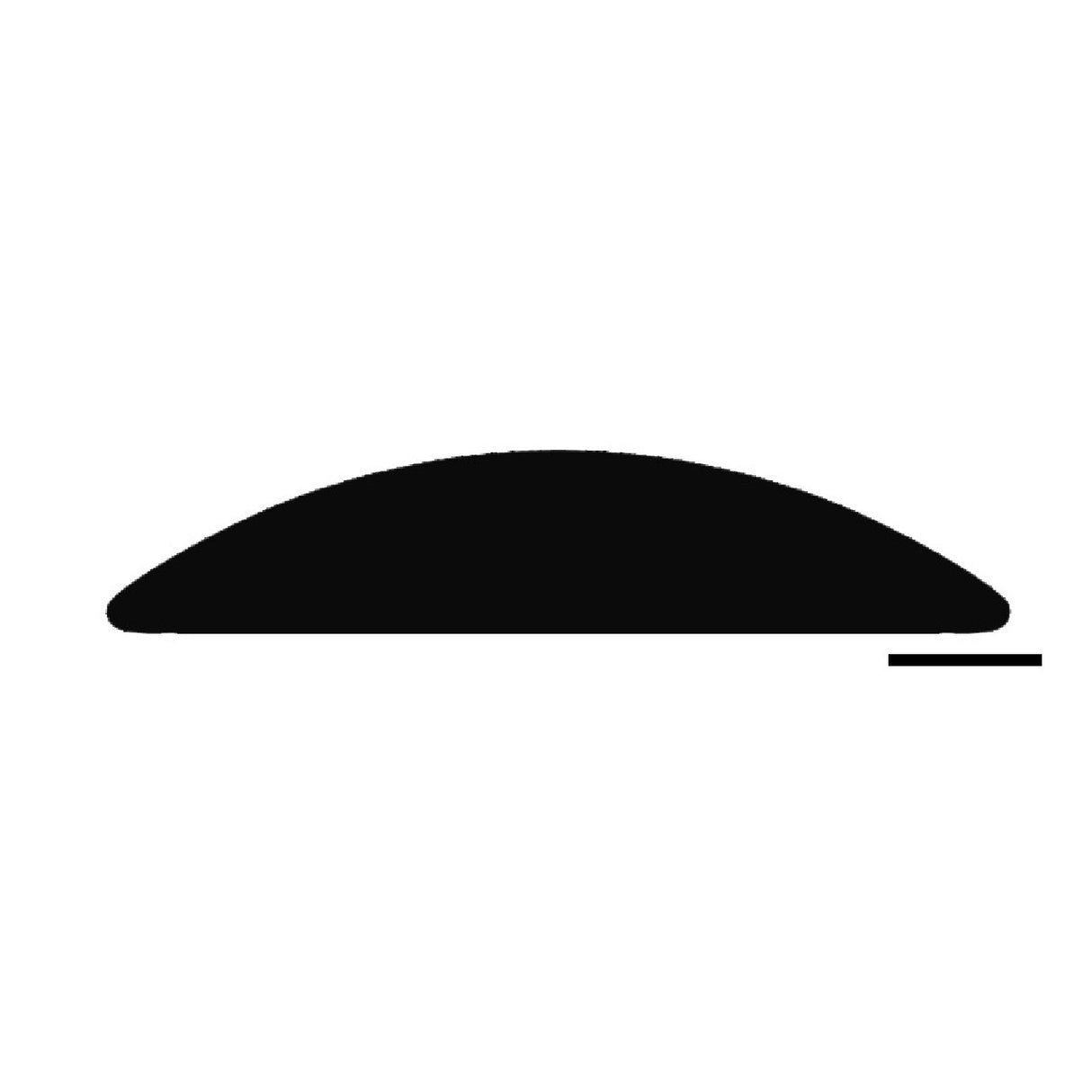 Tessilmare SPHAERA Kotflügelprofil