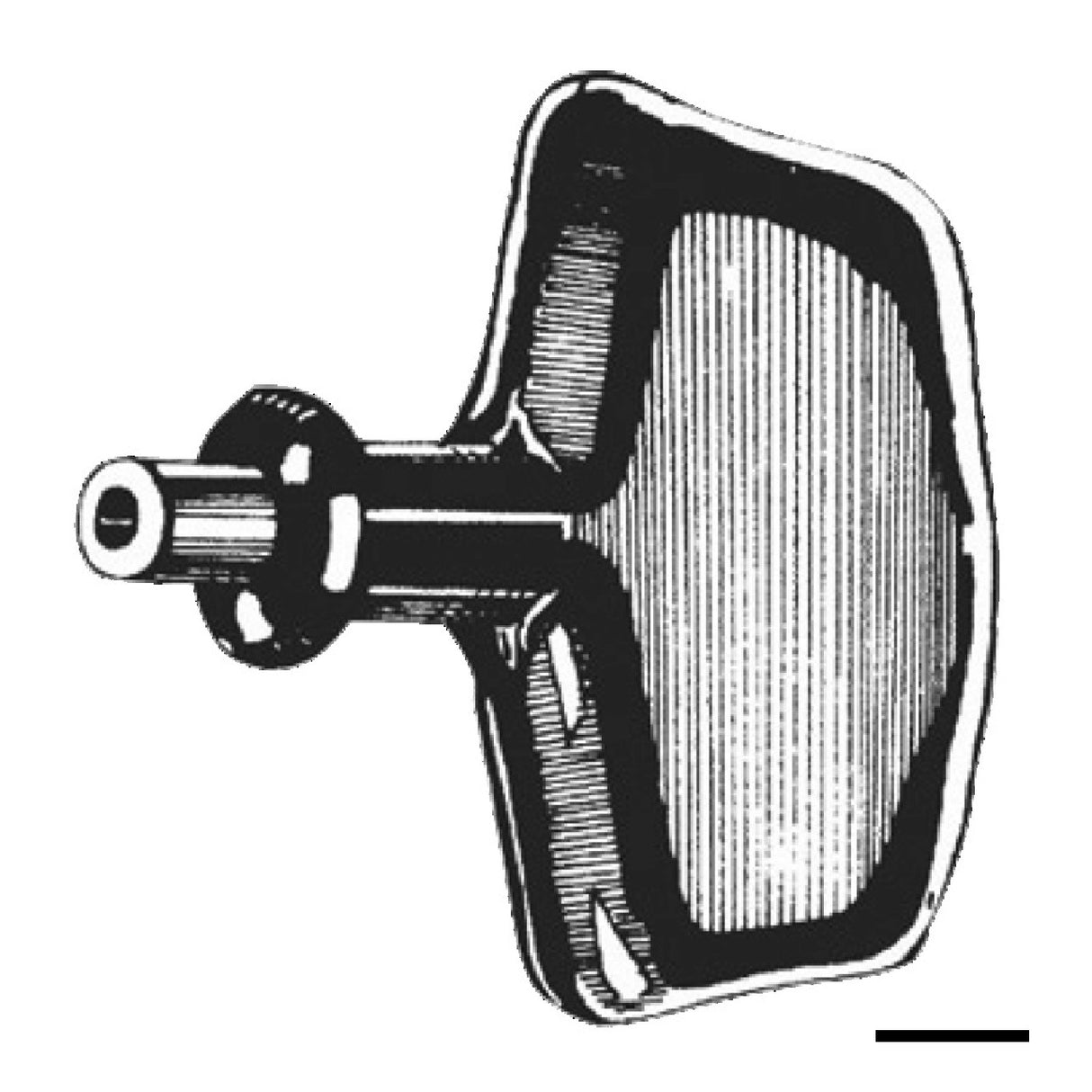 Osculati Universal-Startergriff 52.049.01