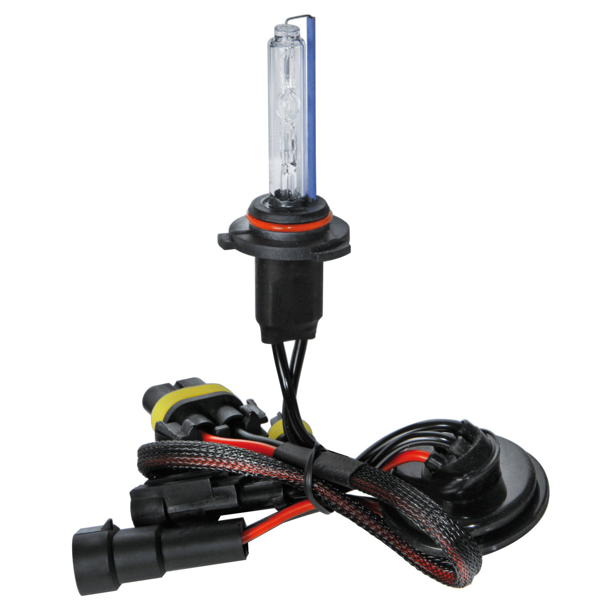 12/24V Lampadina HID Xenon 6.000K - HB4 - 1 pz - Scatola