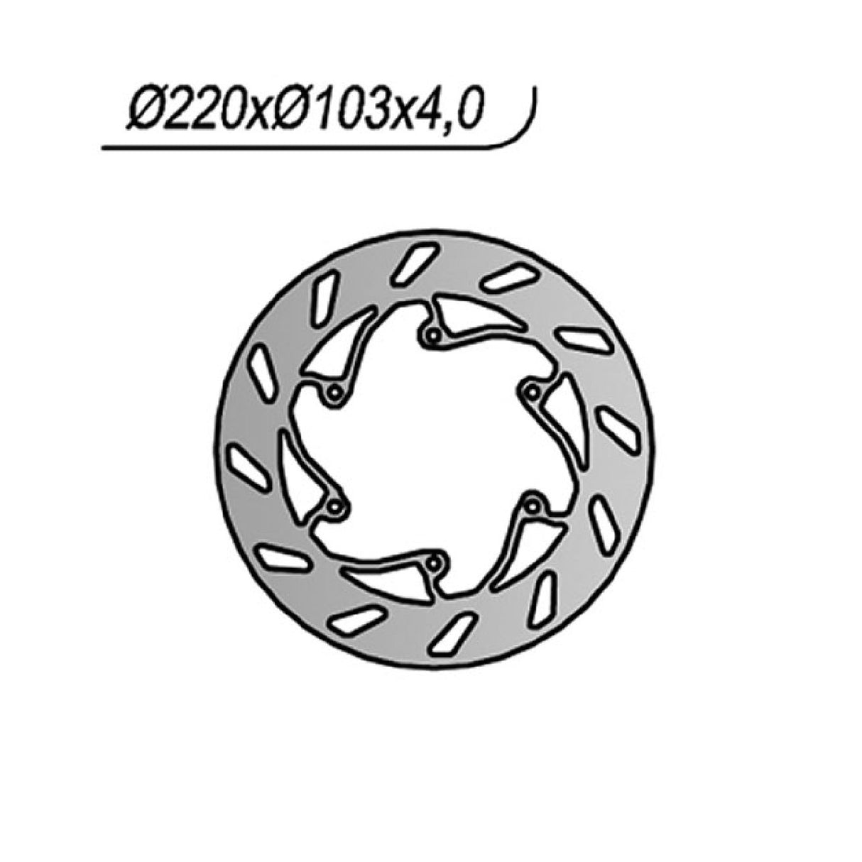 NG 1241 Brake Disc BMW G SMR 450 CC 09/10