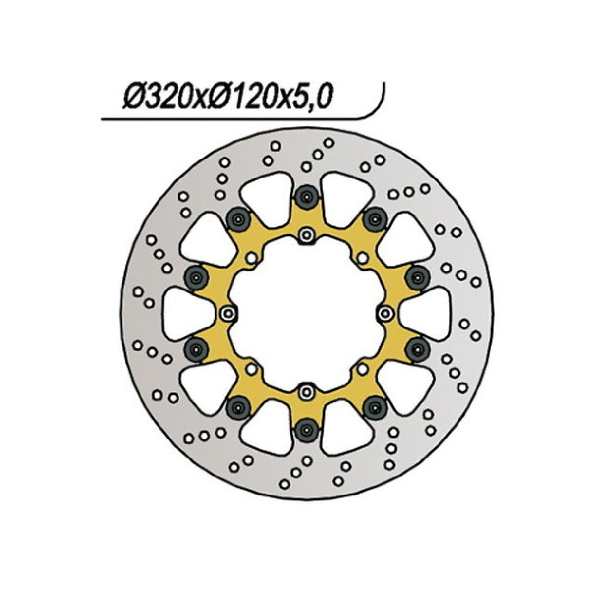 NG 722 Disco de Freno BETAMOTOR RR SM (Motor KTM) 250 CC 05/06