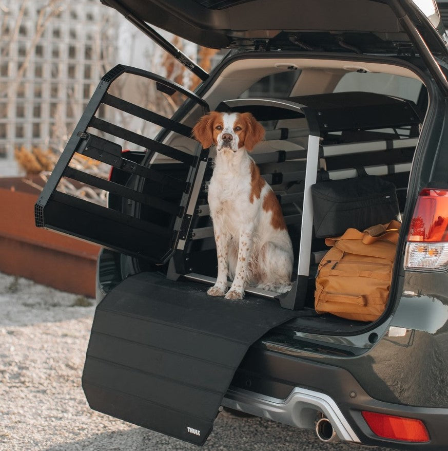 Box trasporto cani Allax L compact Thule