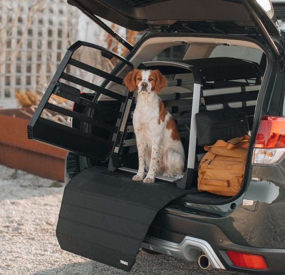 Box trasporto cani Allax S Thule