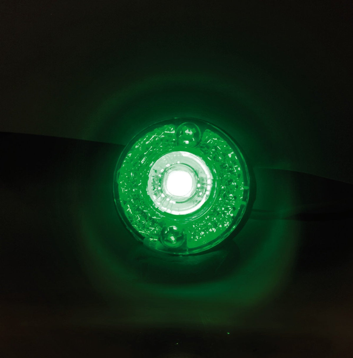 Lampa Coppia Luci Decorative a LED 24V Verde per Camion