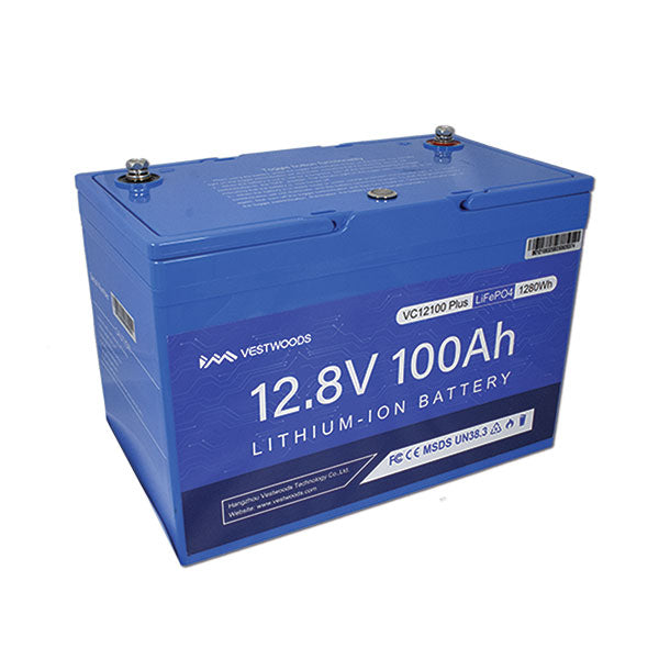 VestWoods Batteria al litio 100 Ah 12V con BMS integrato