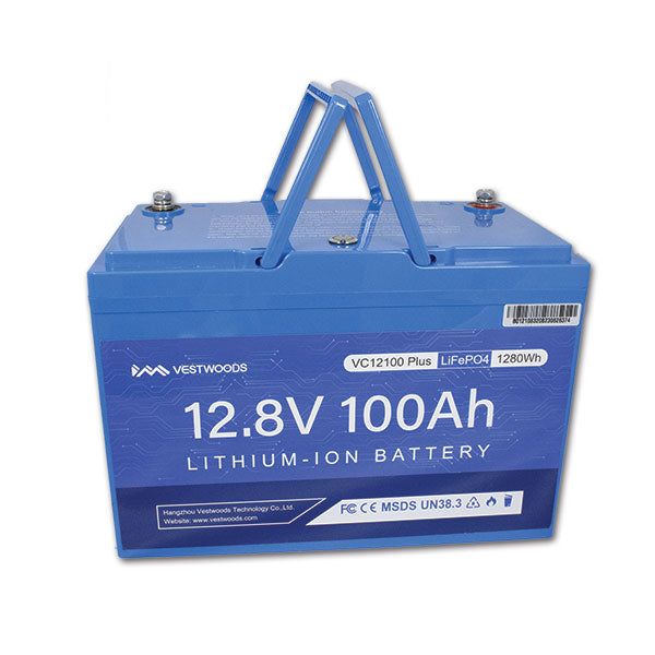 VestWoods Batteria al litio 100 Ah 12V con BMS integrato