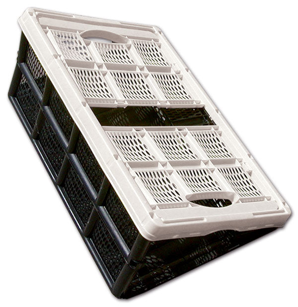 Cesta de plástico plegable CST032 de 32 litros