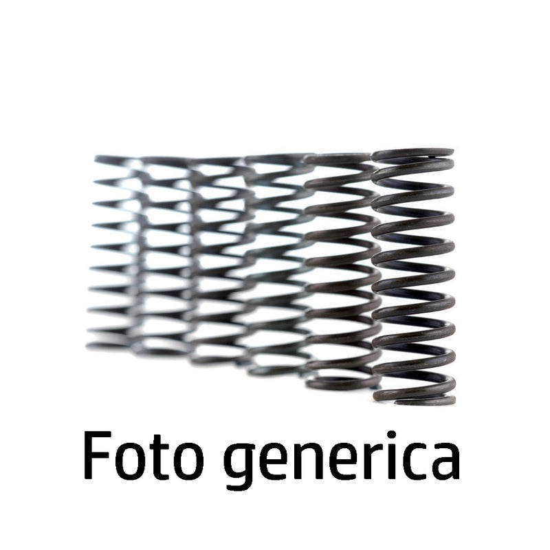 Ferodo Molle Frizione Fss0213 FSS0213