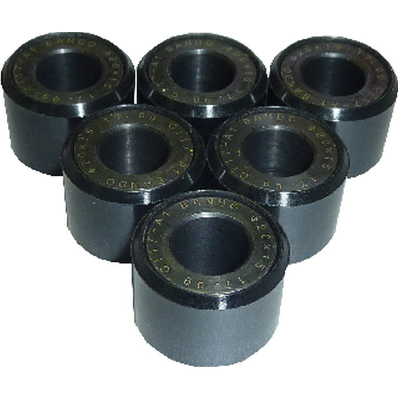 Notice Kit 6 Rollers 20X15 17G Suzuki 150 Burgman 02-06