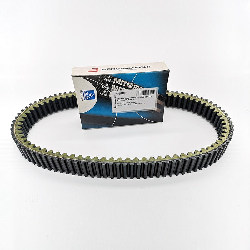 Mitsuboshi T-Max 53012-19 Interner Variatorriemen