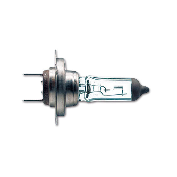 H7 LMA0710 Glühbirne