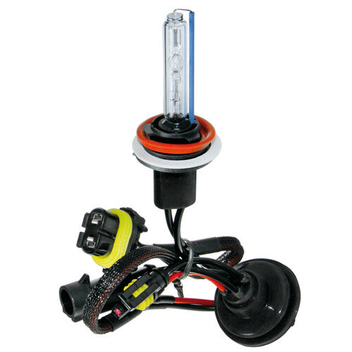 Bombilla de xenón HID Pilot 12/24 V 8000 K - H11 - 1 unidad - Caja