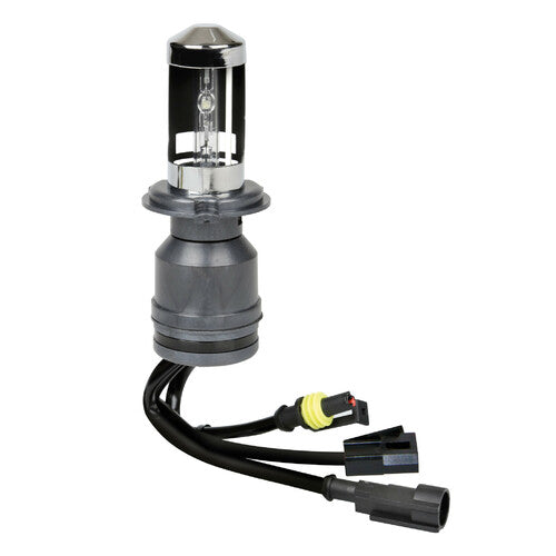 Bombilla de xenón HID Pilot 12/24 V 5.000 K - H4 - 1 ud - Caja
