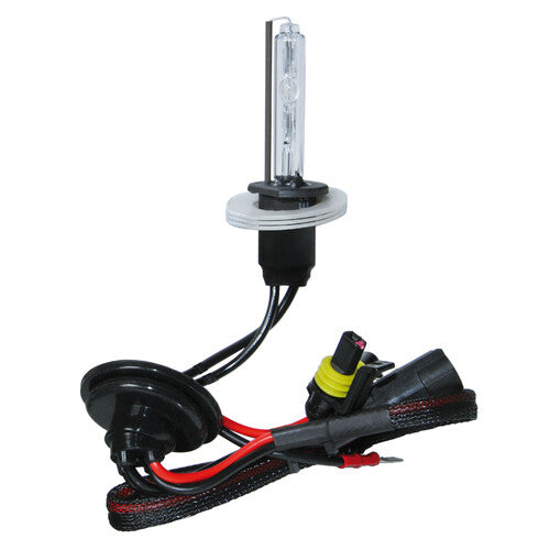 Pilot 12/24V Lampadina HID Xenon 6.000K - H1 - 1 pz - Scatola