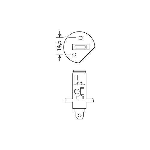 Pilot 12V Halogenlampe Xenon Plus +50% Licht H1 55W P14.5s 2 Stück Box
