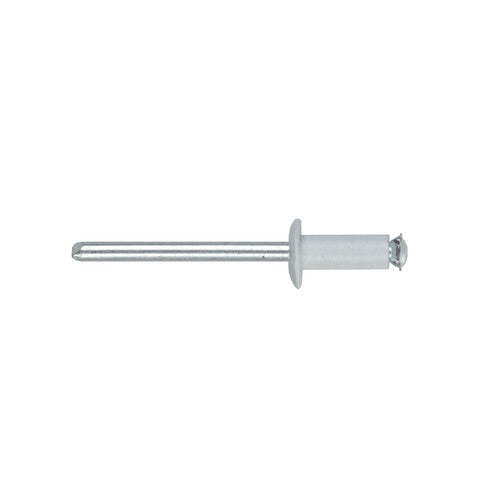 Remaches de aluminio Lampa, juego de 50 remaches Graf para portamatrÃculas - Blanco 59583