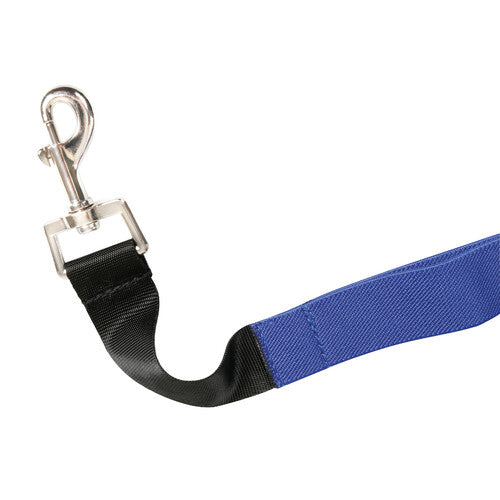 Lamp Pet Seat, Rear Seat