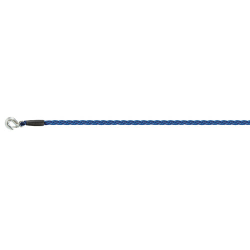 Lampa Master, cable de remolque 5000 kg 60567