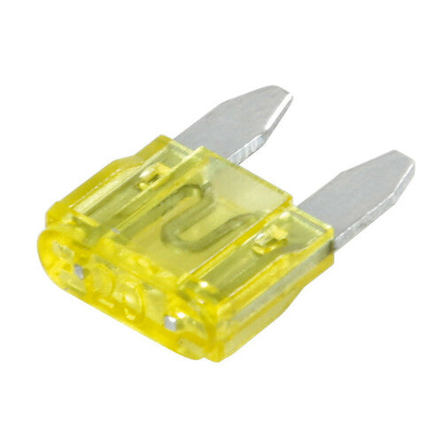 Lampenset mit 100 Mikro-Flachsicherungen, 12/32 V – 20 A